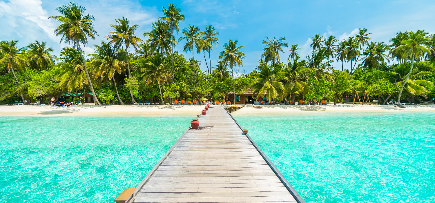 landscape-tropical-vacation-palm-summer(1)-min